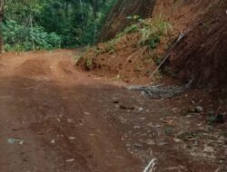 Pembangunan Jalan Usaha Tani di Dusun Ribug Belum Tuntas, Longsoran Ancam Akses Warga — LSM GMBI Soroti Kinerja Pemerintah Desa